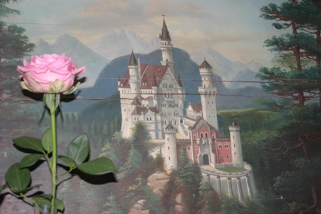 Haus Magnolia Daire Schwangau Dış mekan fotoğraf
